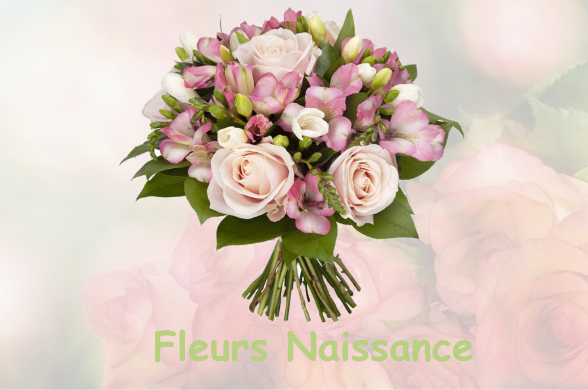 fleurs naissance PIERRE-DE-BRESSE